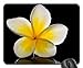 Produktbild Mauspads - Blüten-Blüten-Blumen-weißer gelber Frangipani