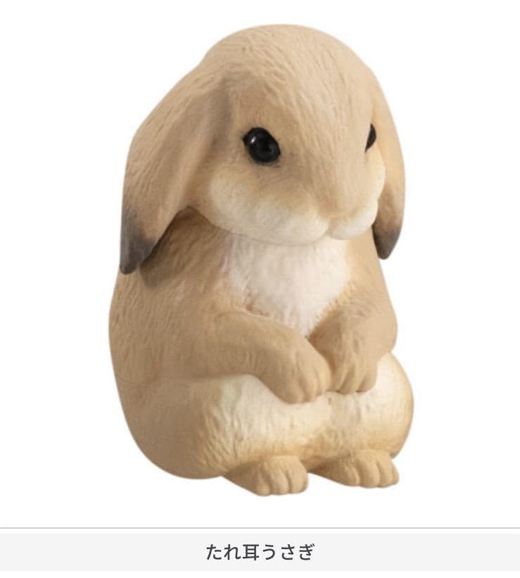 Amazon | まちぼうけ9 ガチャガチャ たれ耳うさぎ | カプセル玩具