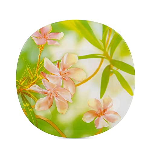 Carina Freesia Glass Dinnerware Set Of 44 For 6 Pers. Dinner Plates Deep Plate Dessert Plates Salad Bowls Decanter With Glass Mug And Saucer #TOP7