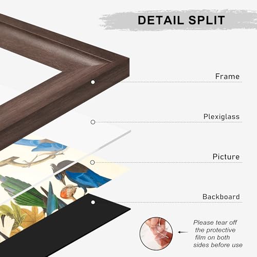 Image of 20x30 Poster Frame Walnut with Black Back Board, Curved Extra Wide Edges, Wooden Vintage Style 20x30 Picture Frame for Wall Decor.