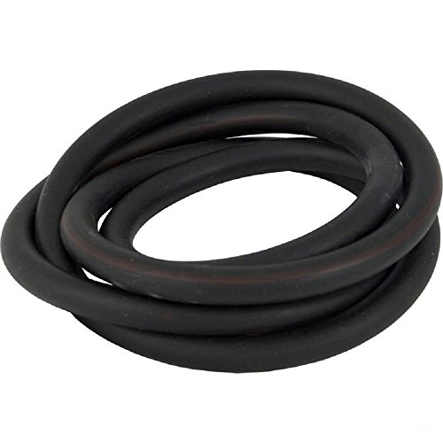 Pentair O-RING Clamp 4000 Series Lid # 071439