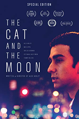 The Cat And The Moon