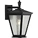 Cardiff Collection 1-Light Clear Seeded Glass New Traditional Outdoor Medium Wall Lantern Light Textured Black