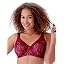 Red (Burgundy)