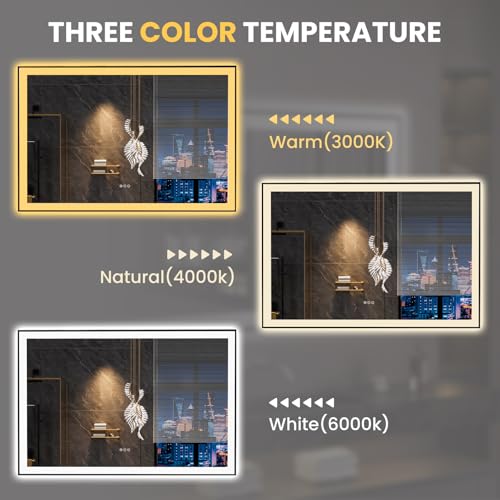 LOAAO 60"X40" LED Bathroom Mirror Black Framed, Anti-Fog, Dimmable, Lighted Bathroom Vanity Mirror for Wall, Memory Function, Tempered Glass