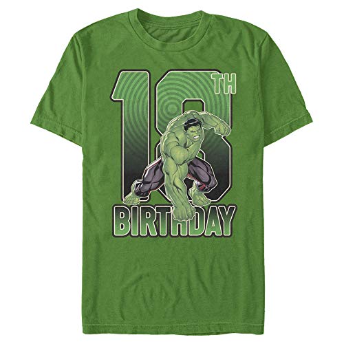 Marvel T-shirt homme Hulk Smash 18ème anniversaire imprimé coton à col rond