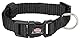 Trixie Premium Hund Collar-Parent, 4047974202111, XXS-XS: 15-25cm