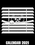  Calendar 2021 Calendar 2021: Introvert Shy Kitty - Curious Peeking Cat Calendar 2021 - Appointment Planner Book And Organizer Journal - Weekly - Monthly - Yearly