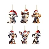 Photo Gallery hozaenwa decorazioni natalizi per cani per albero di natale | 2d addobbo acrilico cane per la casa | 6 pezzi ciondoli animali per albero di natale auto bambini adulti appassionati casa proprietari di Photo Gallery hozaenwa decorazioni natalizi per cani per albero di natale | 2d addobbo acrilico cane per la casa | 6 pezzi ciondoli animali per albero di natale auto bambini adulti appassionati casa proprietari di