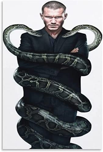 Randy Orton ArtFashion Poster décoratif sur toile pour salon, chambre à coucher 30 x 45 cm Cover