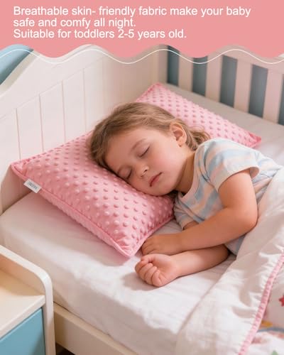 Image of ALVABABY Toddler Pillowcase Kids Pillow Cover Bean Velvet Soft Warm 2 Pack Fit 13 inchx 18 inch or 12 inchx16 inch Envelope for Girl Boy Sleepy Travel 2TPD03A