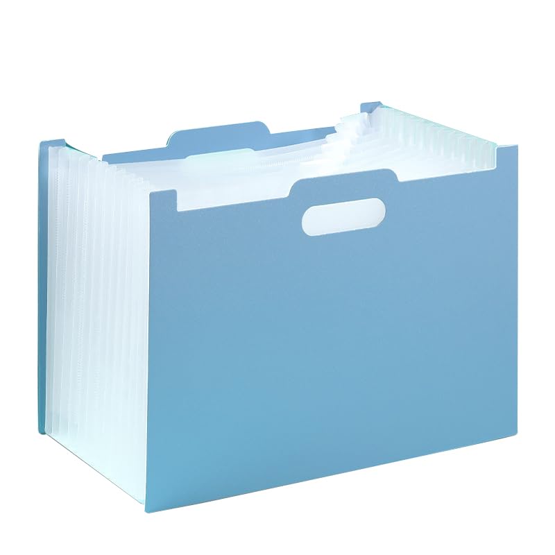 Amazon.co.jp: 【KOOLRIVER】バインダー A4用 ファイルケース 13