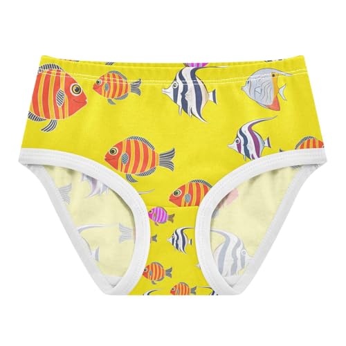Fish Toddler Girls's Underwear 2T 202c1844 - Main Image