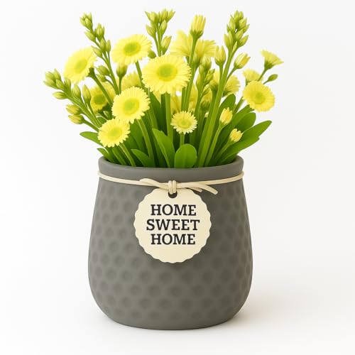Image of Yo Green Ceramic Plant Pot for Indoor & Outdoor, Modern Planter for Home & Office Decor, Durable, Stylish Finish, Ideal for Tabletop, Shelf, Balcony, Great Gift Idea (Grey, 4 Inches)