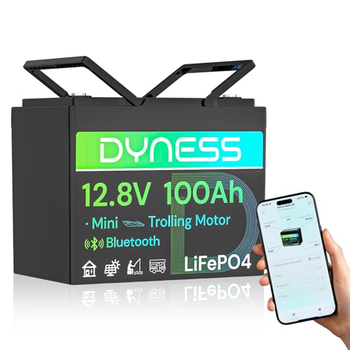 Dyness 12V 100Ah LiFePO4 Lithium Battery with Bluetooth, Group 24,Max.1280Wh Energy, Built-in 100A BMS with Low-Temp Protection, Perfect for Trolling Motor RV,Boat, Solar System