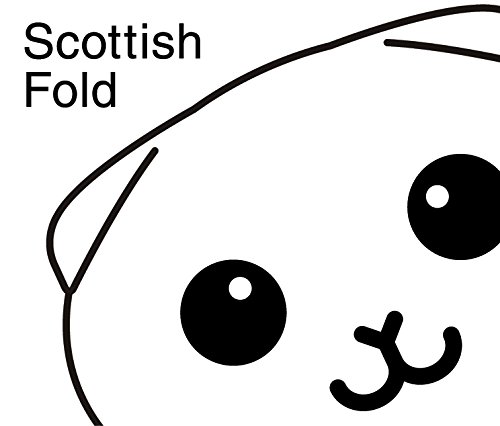  XReBbV tH[h zCg mn L XebJ[