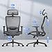 FLEXISPOT Ergonomic Office Chair, High Back Mesh Swivel Computer Chair, Executive Office Desk Chairs, with Adjustable Lumbar Support/2D Headrest/Lockable Backrest, OC3 Mesh Seat, Gray