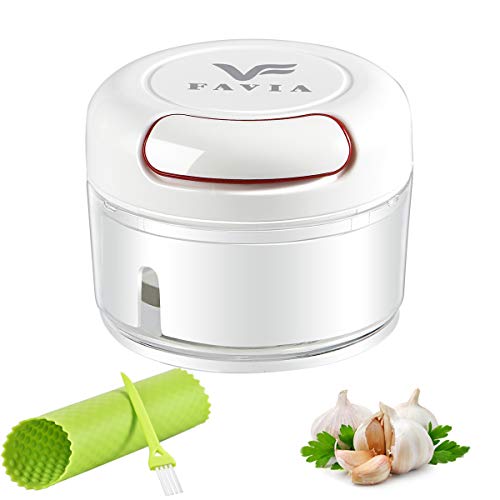 Best Garlic Choppers