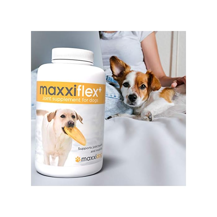 maxxipaws - maxxiflex+ Hip & Joint Supplement for Dogs with Glucosamine, Chondroitin, MSM & Collagen | Mobility, Flexibility & Discomfort Support | Senior, Adult & All Breeds | 120 Tablets - Image 5