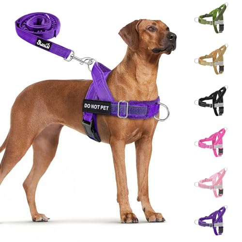 Eyein Hundegeschirr mit Leine für große mittelgroße Hunde, Weich gepolsterter Brustgeschirr mit 2 Leinenclips, Reflektierend & Leichtgewicht Anti Zug Geschirr für Spaziergänge Training, Lila, L