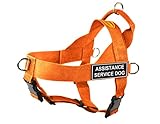 Dean & Tyler DT Universal No Pull Dog Harness with Assistance Service Dog Patches, Small, Orange