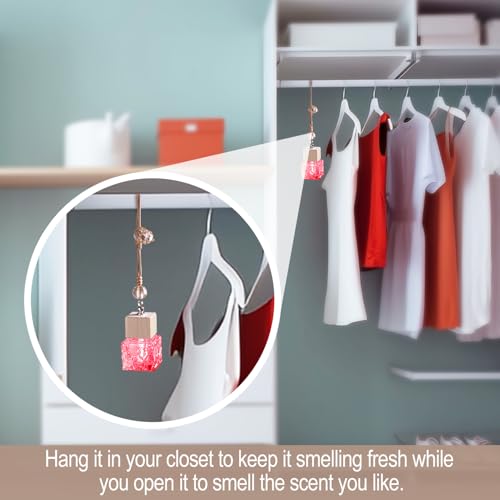 Image of L'odeur Vill Car Fresheners, 2Pack Vent Clips Car Diffuser, Up to 180 Days Long Lasting - Encounter