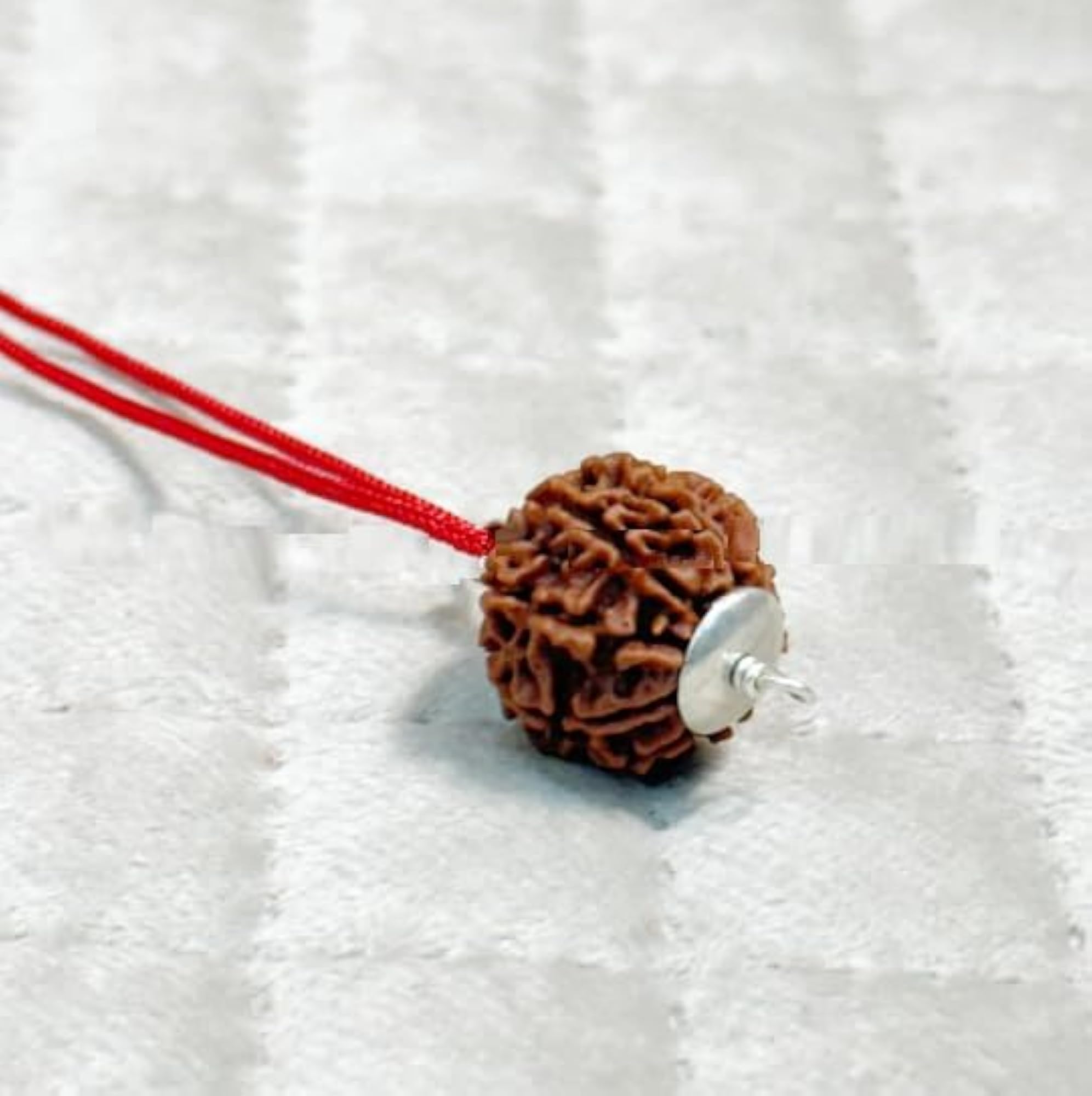 Beautiful 10 Mukhi Rudraksha Original Certified Beads