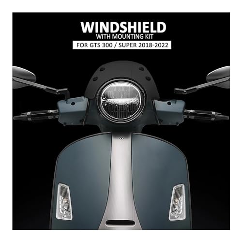 Déflecteur de vent moto pour réduire la fatigue sur GTS 300 Super - 3