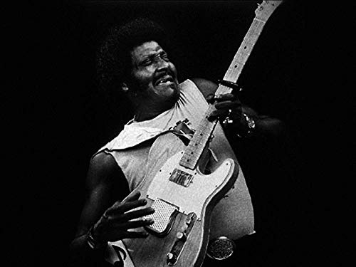 Albert Collins
