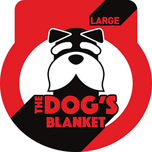 Do Puppies Need a Blanket at Night? Dog Training Me