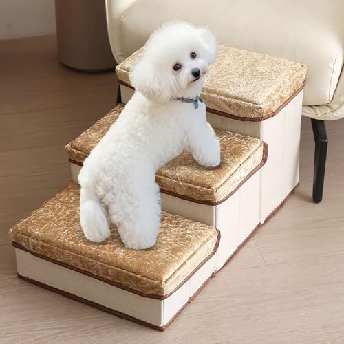 ybgpKi}bg, NbVt4iXebv, xxbgn, ̂F, pX[v, ^L