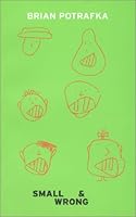 Small and Wrong 096575622X Book Cover