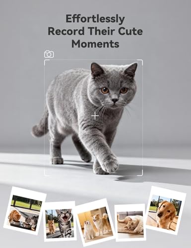 Image of WOPET Automatic Cat Feeder with Camera for Two Cats, 6L Smart Pet Feeder with 1080P HD Video & Night Vision, 5G /2.4G WiFi Cat Dog Feeder, 2-Way Audio, SD Card Storage, Up to 10 Meals per Day