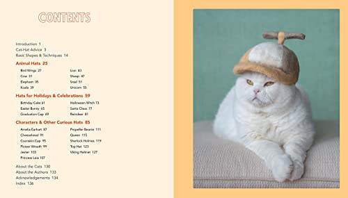 Cats in Hats: Make Cat-hair Headgear for Your Feline Friends