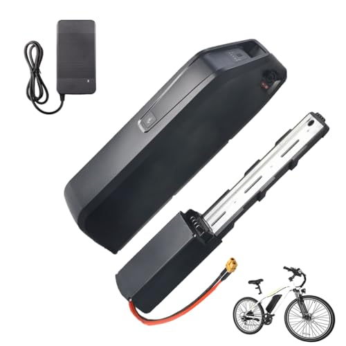 Bici elettriche più vendute: ecco quali sono HJGHY Xt60,36V 13Ah, Batteria agli ioni di Litio per Bici...
