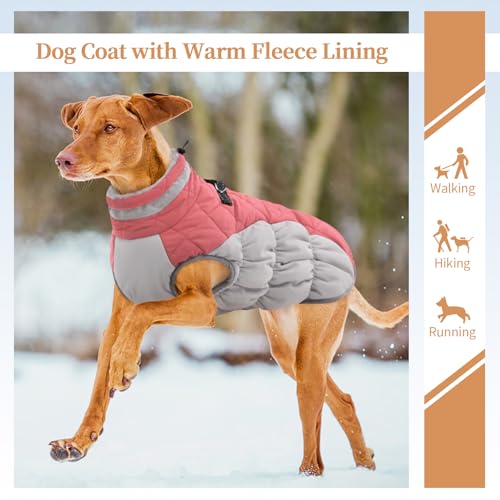 Image of Dog Jackets for Small Dogs, Warm Dog Winter Coat with Harness, XS