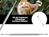Hunde Zahnstein Zahnbelag Entferner Kratzer Reiniger Schaber Flügel 2-Seitig Zahnsteinentferner Zahnreiniger für Haustiere aus Edelstahl Zahnpflege Zahnsteinkratzer