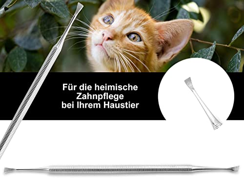 Hunde Zahnstein Zahnbelag Entferner Kratzer Reiniger Schaber Flügel 2-Seitig Zahnsteinentferner Zahnreiniger für Haustiere aus Edelstahl Zahnpflege Zahnsteinkratzer