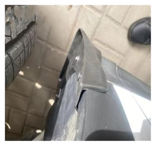 Guardabarros BYD Dolphin 2022 2023: Accesorios de coche y protector versión 1 4