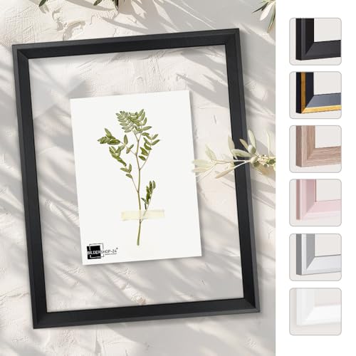 Bildershop-24 Telaio in vetro doppio con doppi vetri, Prio in Nero (opaco) 18x24cm con vetro acrilico, cornice per quadri con doppi vetri