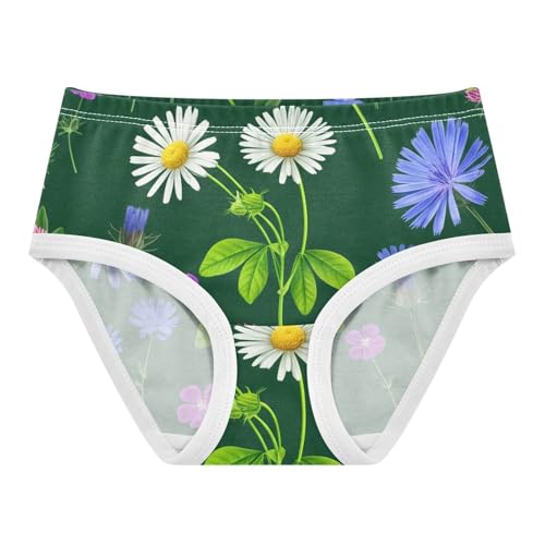 Cotton Girls Underwear Toddler Green Floral Wildflowers Daisies Panties for Girl Personalized Underpants Briefs 2t