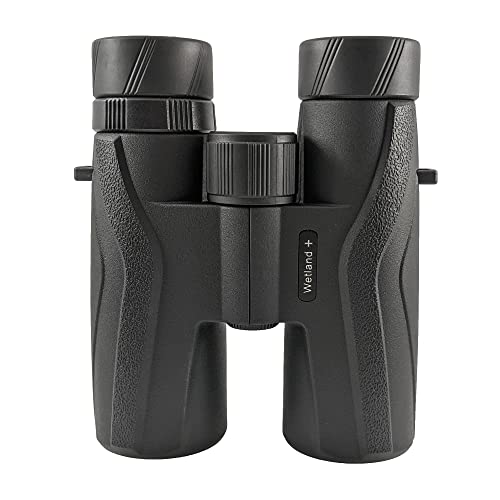 Jumelles 10 x 42 Visionary Wetland Plus contre image floue rando