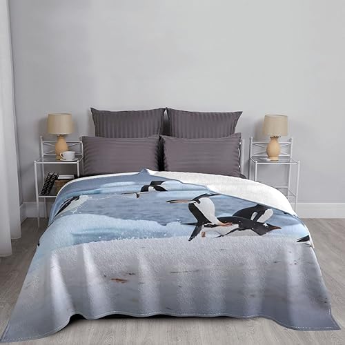 Couverture en flanelle pingouin, plaid doux idéal pour offrir