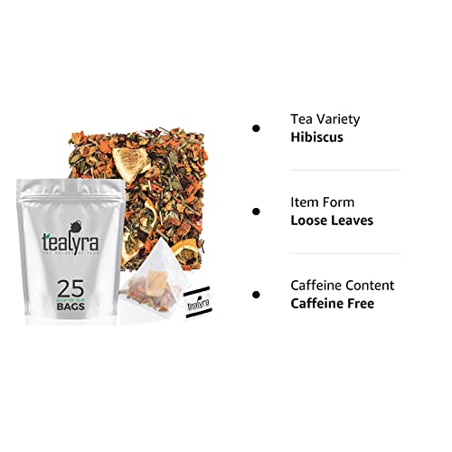 Tealyra - Orange Lemonade - 25 Bags - Hibiscus - Eucalyptus - Lemongrass - Herbal Fruity Loose Leaf Tea - Vitamins Rich - Boost Immune System - Caffeine-Free - Pyramids Style Sachets #TOP4