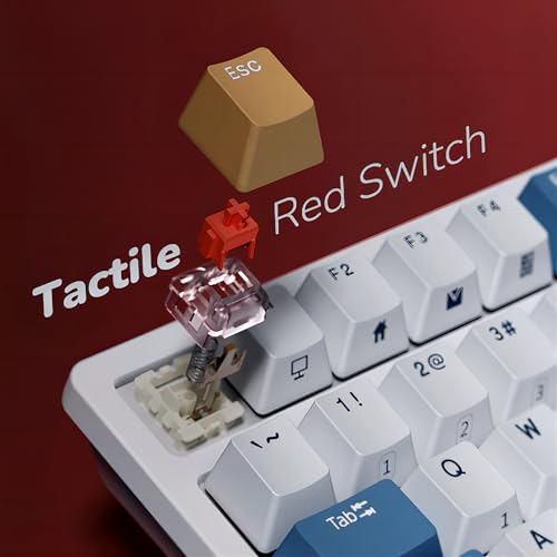 Image of RK ROYAL KLUDGE RK98 Wireless Mechanical Keyboard, Triple Mode 2.4G /BT5.1 /USB-C Custom Switches Keyboard with Number Pad, Pre-lubed Linear Switches RGB Backlit Gaming Keyboard, Software Support