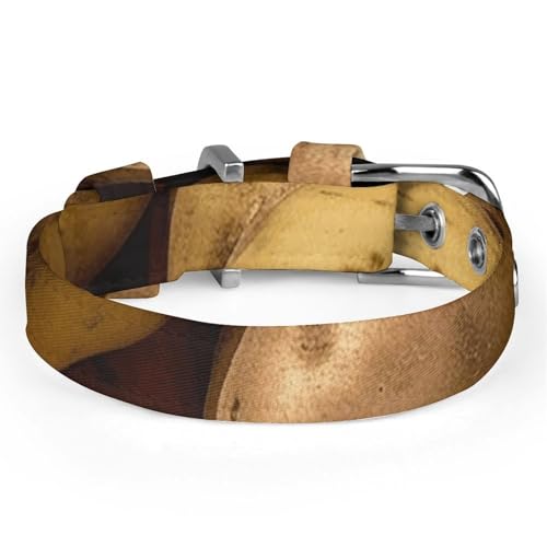 Collier réglable pour animal de compagnie idéal pour les balades quotidiennes en ville