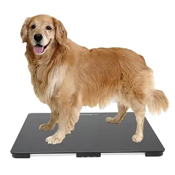 Helsevesen Medium Breed Veterinary Dog Scale, Digital Pet Scale, 330 lb Capacity