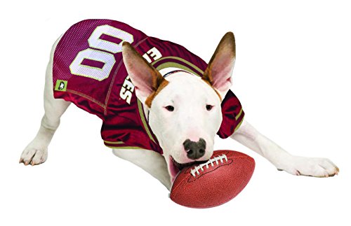 Image of Pets First Collegiate Boston College Eagles Dog Mesh Jersey, Small