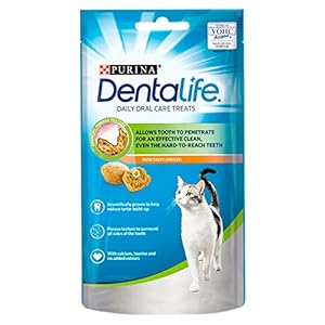 PURINA Dentalife | Dental Cat Treat, Chicken, 40g