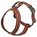 Hurtta Casual Y-Geschirr ECO Komfortables nachhaltiges Hundegeschirr (Cinnamon, 30-35 cm)